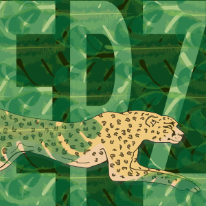 Elmwood Park Zoo app icon design